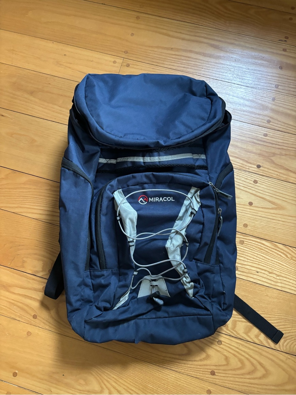 Travel ski boot bag